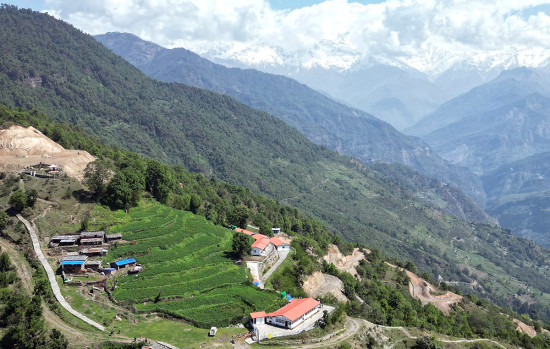टोड्केको पृष्ठभूमिमा धौलागिरी हिमाल
